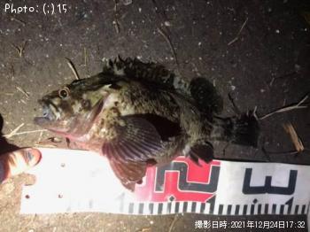 ����������������