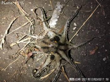 ����������������