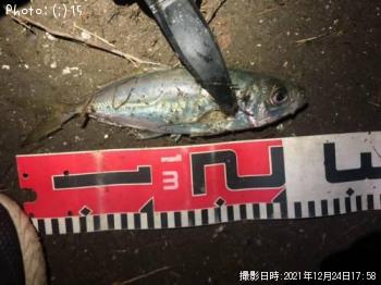 ����������������