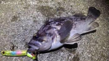 ¥¯¥í¥½¥¤¡¢¥á¥Ð¥ë