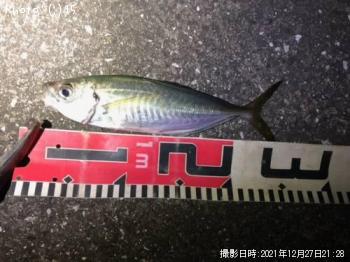 ¥¢¥¸¡¢¥á¥Ð¥ë