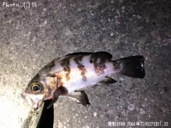 ¥¢¥¸¡¢¥á¥Ð¥ë