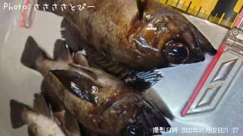 ��Х�������Х�������