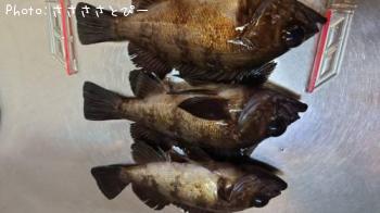 ��Х�������Х�������