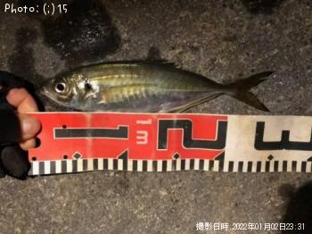 ¥¢¥¸¡¢¥á¥Ð¥ë¡¢¥«¥µ¥´