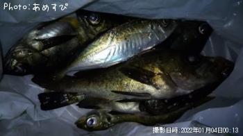 ¥¢¥¸¡¢¥á¥Ð¥ë