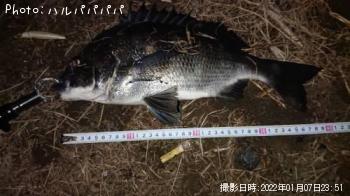 ���������������Х�