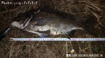 ���������������Х�