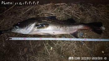 ���������������Х�