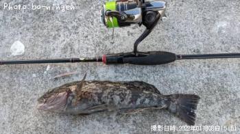 �����ʥ�