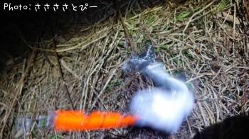 ¥·¡¼¥Ð¥¹¡õ¥á¥Ð¥ë