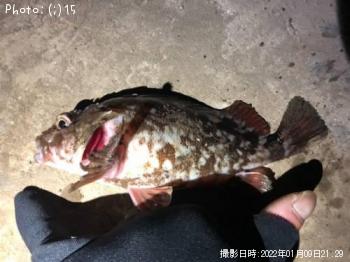 ���������ϥ�