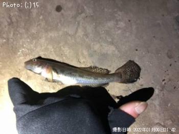 ���������ϥ�