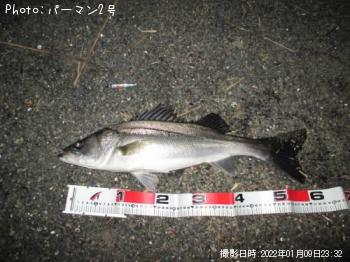 �����Х�