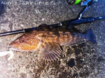 �����ʥ�