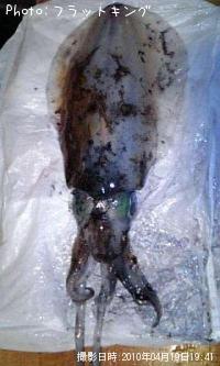 �����ꥤ��