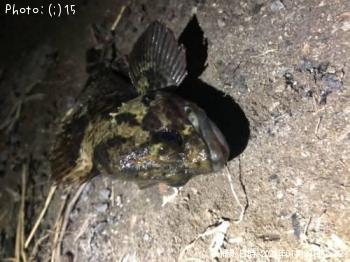 ��������������