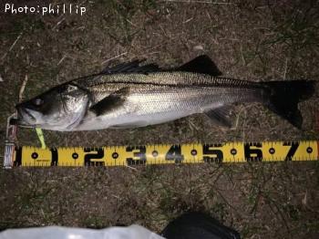 �����Х�