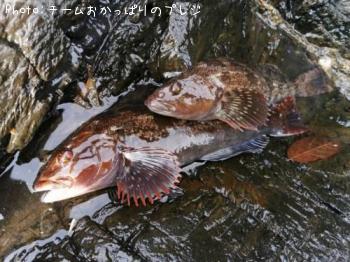 �����ʥ�