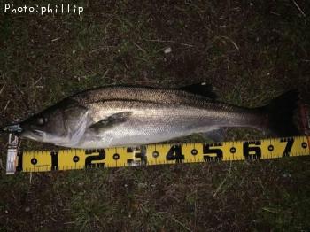 �����Х�