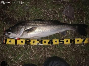 �����Х�