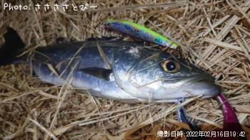 �����Х�