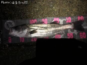 �����Х�