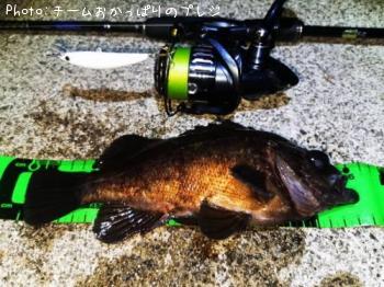 ��Х�