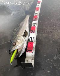 �����Х�