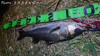 �����Х�