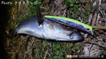 �����Х�