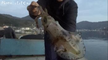 �����ꥤ��