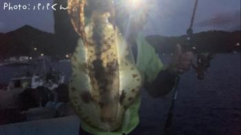 ¥¢¥ª¥ê¥¤¥«