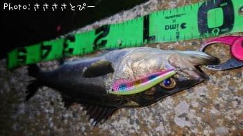 �����Х�