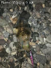 �����ꥤ��