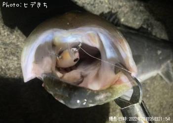 �����Х�