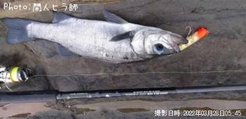 �ҥ饹����