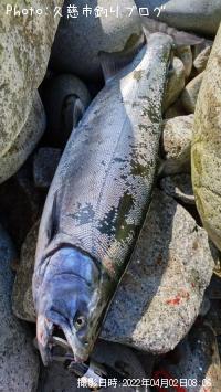 ������ޥ�