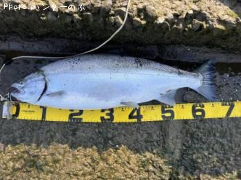 ¥µ¥¯¥é¥Þ¥¹