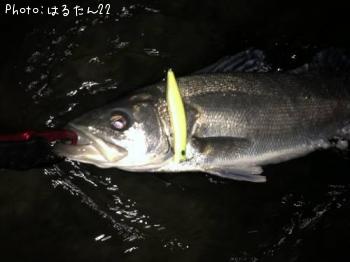 �����Х�