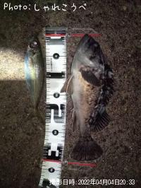 ��������������