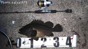 ���ޥ���