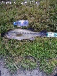 �֥�å��Х�