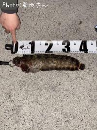 �ե������