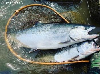 ������ޥ�