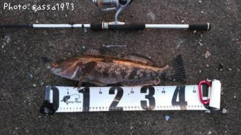 �����ʥ�