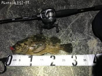 �����Υ���Х�