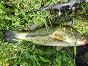 �֥�å��Х�