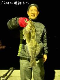 �����ʥ�