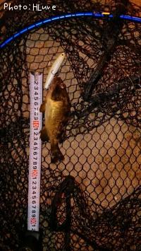 ¥¨¥¾¥á¥Ð¥ë